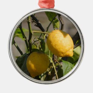 Spaans lemon grafische kaart metalen ornament