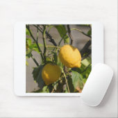 Spaans lemon grafische kaart muismat (Met muis)