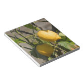 Spaans lemon grafische kaart notitieblok (Schuin)