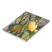Spaans lemon grafische kaart notitieblok (Linkerzijde)