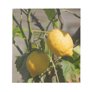 Spaans lemon grafische kaart notitieblok