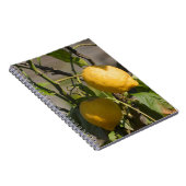 Spaans lemon grafische kaart notitieboek (Rechterzijde)