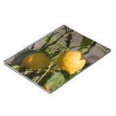 Spaans lemon grafische kaart notitieboek (Linkerzijde)