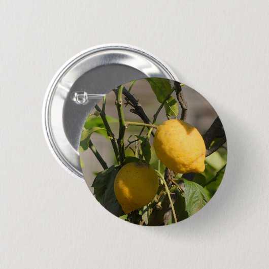 Spaans lemon grafische kaart ronde button 5,7 cm (Voorkant /achterkant)