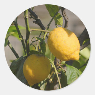 Spaans lemon grafische kaart ronde sticker