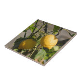 Spaans lemon grafische kaart tegeltje (Zijkant)