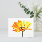 Spaans Margurit Flower Briefkaart (Staand voorkant)
