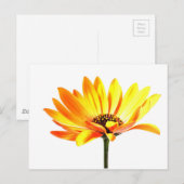 Spaans Margurit Flower Briefkaart (Voorkant / Achterkant)