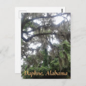 Spaans mos bedekt eikenboom in Daphne, Alabama Briefkaart (Voorkant / Achterkant)