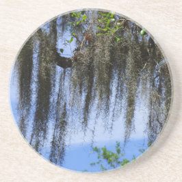 Spaans mos in de bergen van de Blauwe Ridge Zandsteen Onderzetter