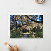 Spaans Mos Notitiekaartje (Voorkant / Achterkant in situ)