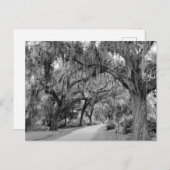 Spaans Mos, Park Briefkaart (Voorkant / Achterkant)