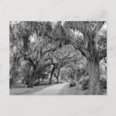 Spaans Mos, Park Briefkaart (Voorkant)