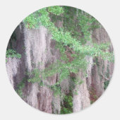 Spaans Mos Sticker (Voorkant)