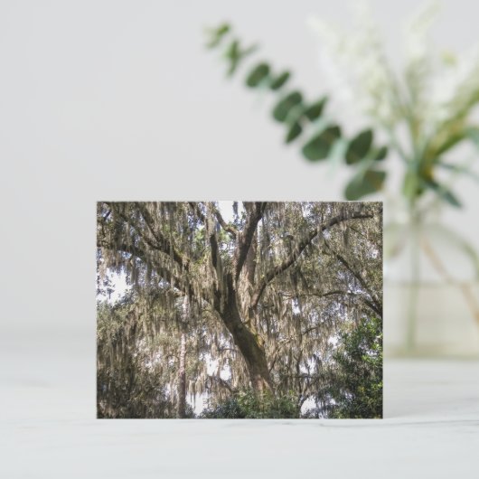 Spaans moss #1 briefkaart (Staand voorkant)