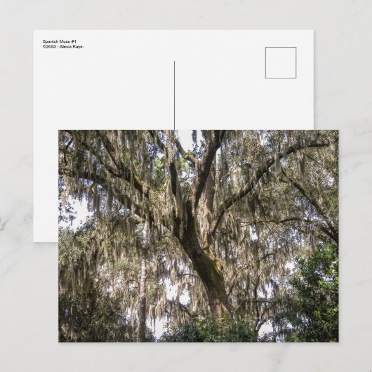 Spaans moss #1 briefkaart (Voorkant / Achterkant)