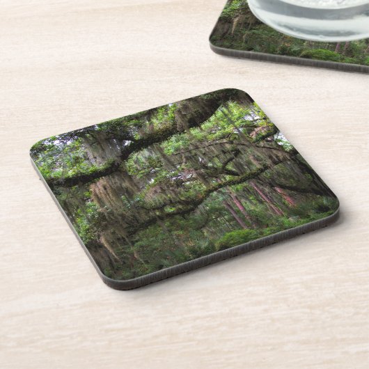 Spaans moss Adorned Live Oak Bier Onderzetter (Linkerzijde)