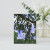 Spaans Moss Briefkaart (Staand voorkant)