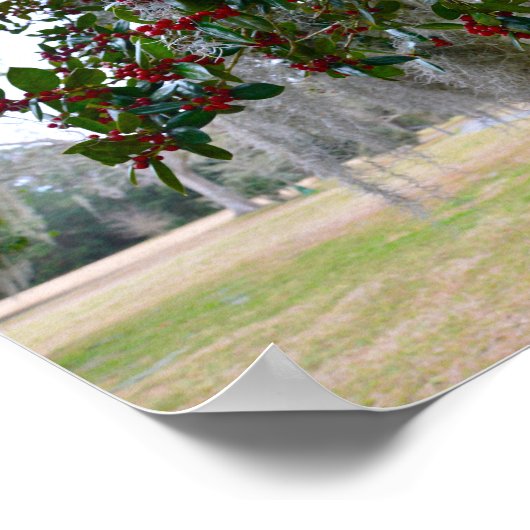 Spaans Moss en American Holly Poster (Hoek)