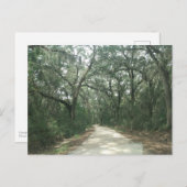 Spaans Moss, Georgetown County, SC Briefkaart (Voorkant / Achterkant)