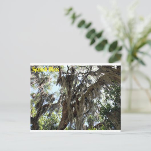 Spaans Moss Old South Briefkaart (Staand voorkant)