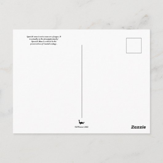 Spaans Moss Old South Briefkaart (Achterkant)