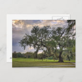 Spaans Moss on Live Oak in New Orleans Briefkaart (Voorkant / Achterkant)