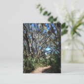 Spaans Moss Trail Briefkaart (Staand voorkant)