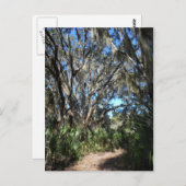 Spaans Moss Trail Briefkaart (Voorkant / Achterkant)