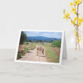 Spaans Mule op Country Road Kaart (Gele Bloem)