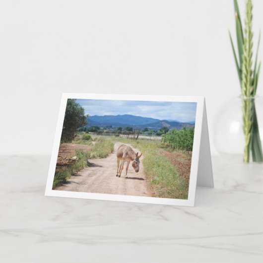 Spaans Mule op Country Road Kaart (Voorkant)