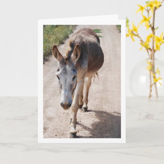 Spaans Mule Portret Kaart (Gele Bloem)