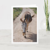 Spaans Mule Portret Kaart (Voorkant)