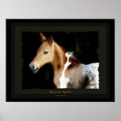 Spaans Mustang Foal Art Print (Voorkant)