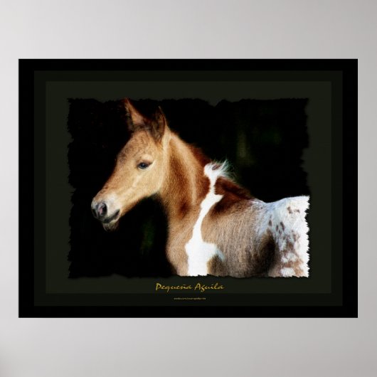 Spaans Mustang Foal Art Print (Voorkant)