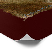 Spaans Mustang Horse & Bald Eagle Art Print (Hoek)