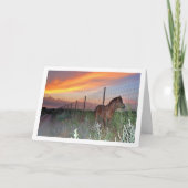 Spaans Paard bij zonsondergang Kaart (Voorkant)