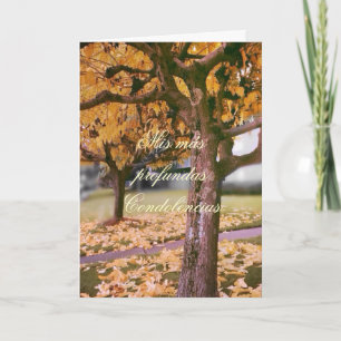 Spaans: Pesame/Sympathie Kaart