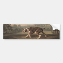 Spaans Pointer Dog (van George Stubbs)