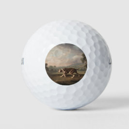 Spaans Pointer Dog (van George Stubbs) Golfballen