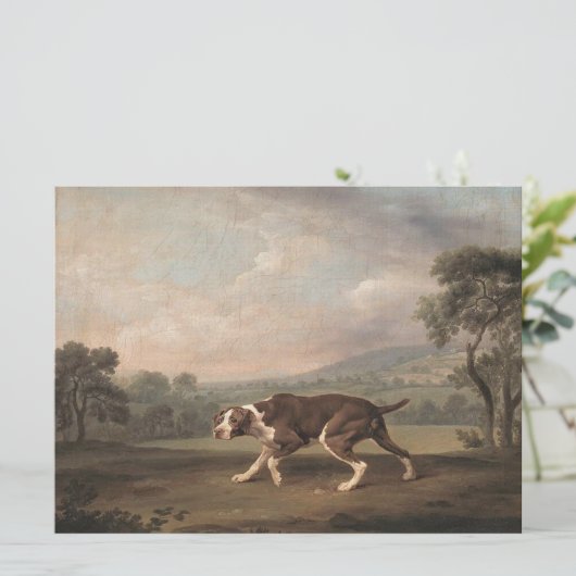 Spaans Pointer Dog (van George Stubbs) Kaart (Staand voorkant)