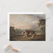 Spaans Pointer Dog (van George Stubbs) Kaart (Voorkant / Achterkant in situ)