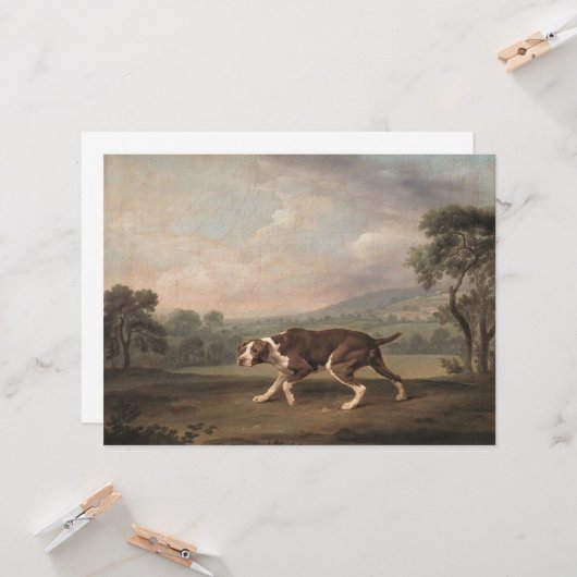 Spaans Pointer Dog (van George Stubbs) Kaart (Voorkant / Achterkant in situ)