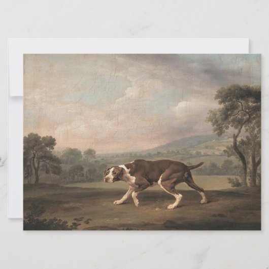 Spaans Pointer Dog (van George Stubbs) Kaart (Voorkant)