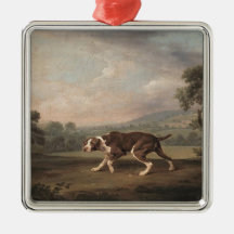 Spaans Pointer Dog (van George Stubbs)
