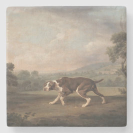 Spaans Pointer Dog (van George Stubbs) Stenen Onderzetter