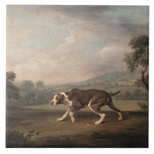 Spaans Pointer Dog (van George Stubbs) Tegeltje
