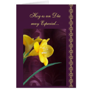 Spaans: Speciale dag