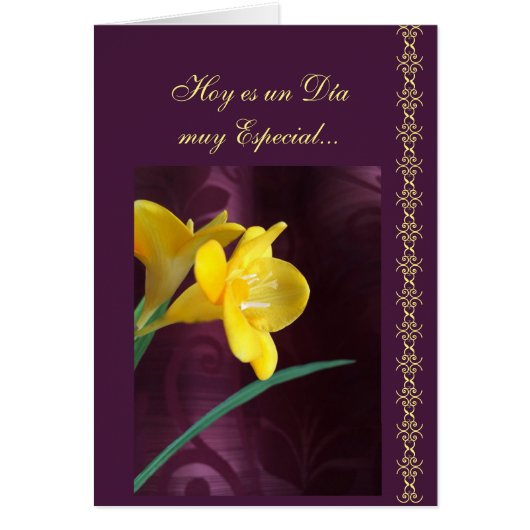 Spaans: Speciale dag (Voorkant)