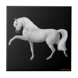 Spaans stapel voor Andalusië Tegeltje